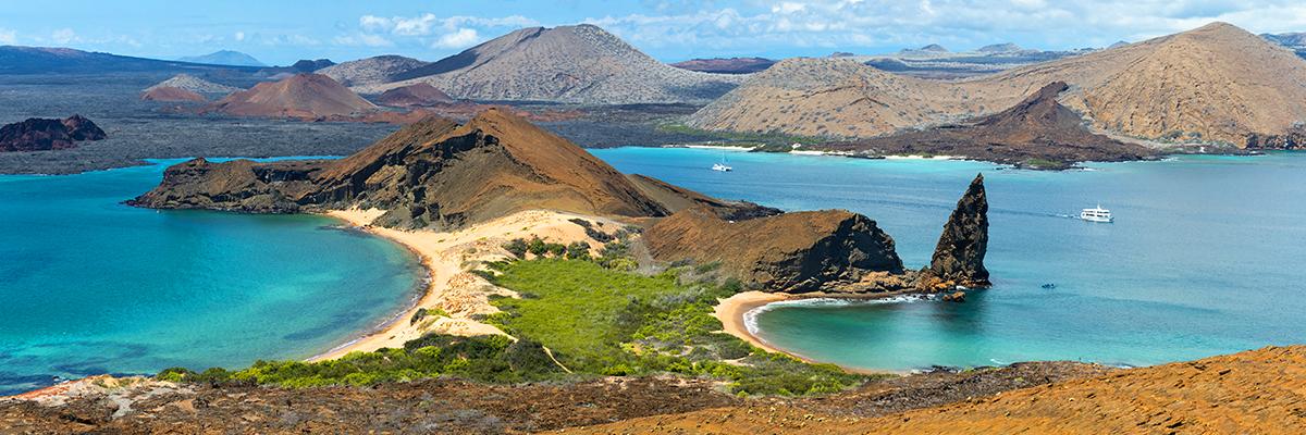 Where Evolution Meets Elevated Exploration